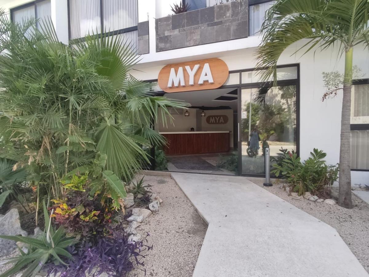 Nuevo Estudio Con Terraza Totalmente Equipado Tulum Aldea Zama Bagian luar foto